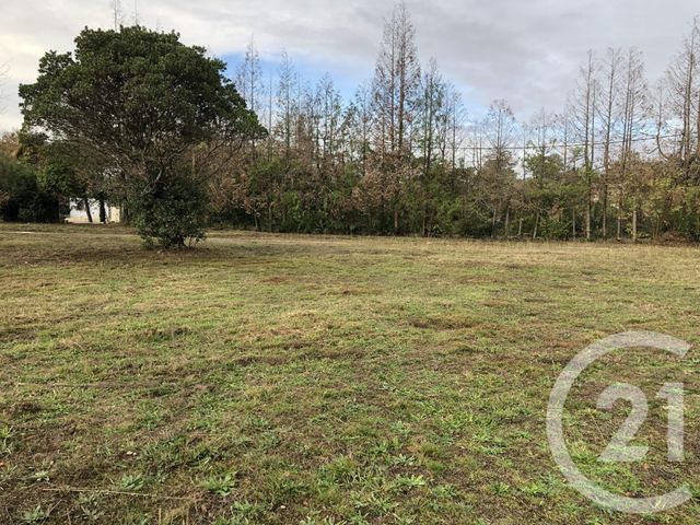 terrain à vendre - 2309.0 m2 - MAZEROLLES - 40 - AQUITAINE - Century 21 Mi-Adour