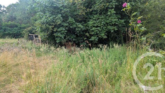 maison à vendre - 3 pièces - 65.0 m2 - PERQUIE - 40 - AQUITAINE - Century 21 Mi-Adour