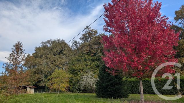 maison à vendre - 7 pièces - 134.0 m2 - CAUNA - 40 - AQUITAINE - Century 21 Mi-Adour