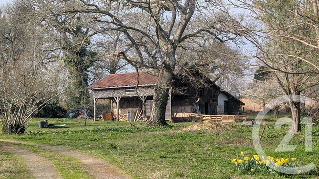 maison à vendre - 6 pièces - 200.0 m2 - YGOS ST SATURNIN - 40 - AQUITAINE - Century 21 Mi-Adour