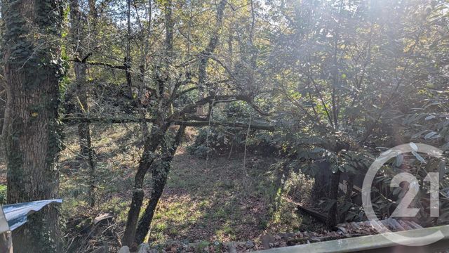 divers à vendre - 32150.0 m2 - HONTANX - 40 - AQUITAINE - Century 21 Mi-Adour