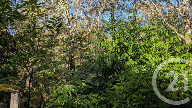 divers à vendre - 32150.0 m2 - HONTANX - 40 - AQUITAINE - Century 21 Mi-Adour