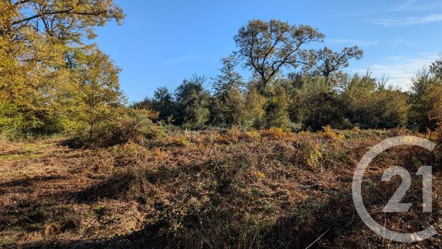 divers à vendre - 32150.0 m2 - HONTANX - 40 - AQUITAINE - Century 21 Mi-Adour