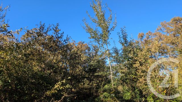 divers à vendre - 32150.0 m2 - HONTANX - 40 - AQUITAINE - Century 21 Mi-Adour