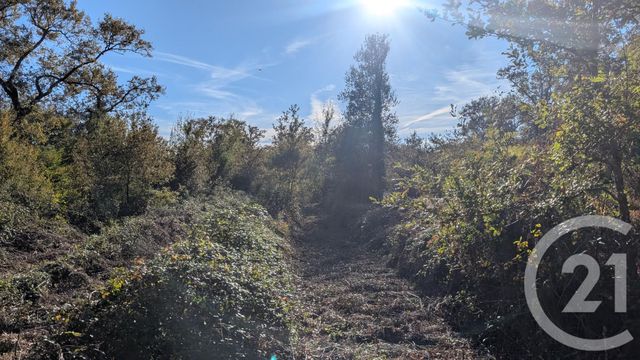 divers à vendre - 32150.0 m2 - HONTANX - 40 - AQUITAINE - Century 21 Mi-Adour