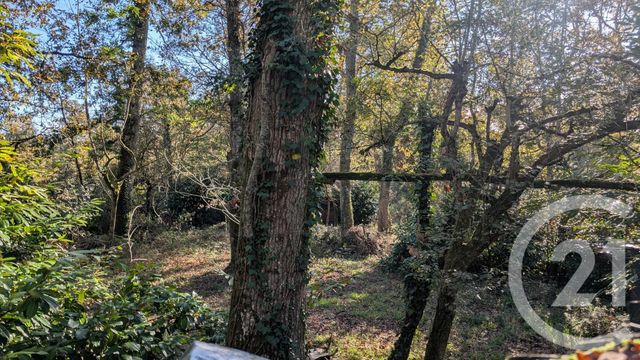 divers à vendre - 32150.0 m2 - HONTANX - 40 - AQUITAINE - Century 21 Mi-Adour