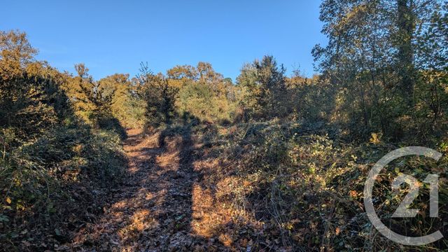 divers à vendre - 32150.0 m2 - HONTANX - 40 - AQUITAINE - Century 21 Mi-Adour