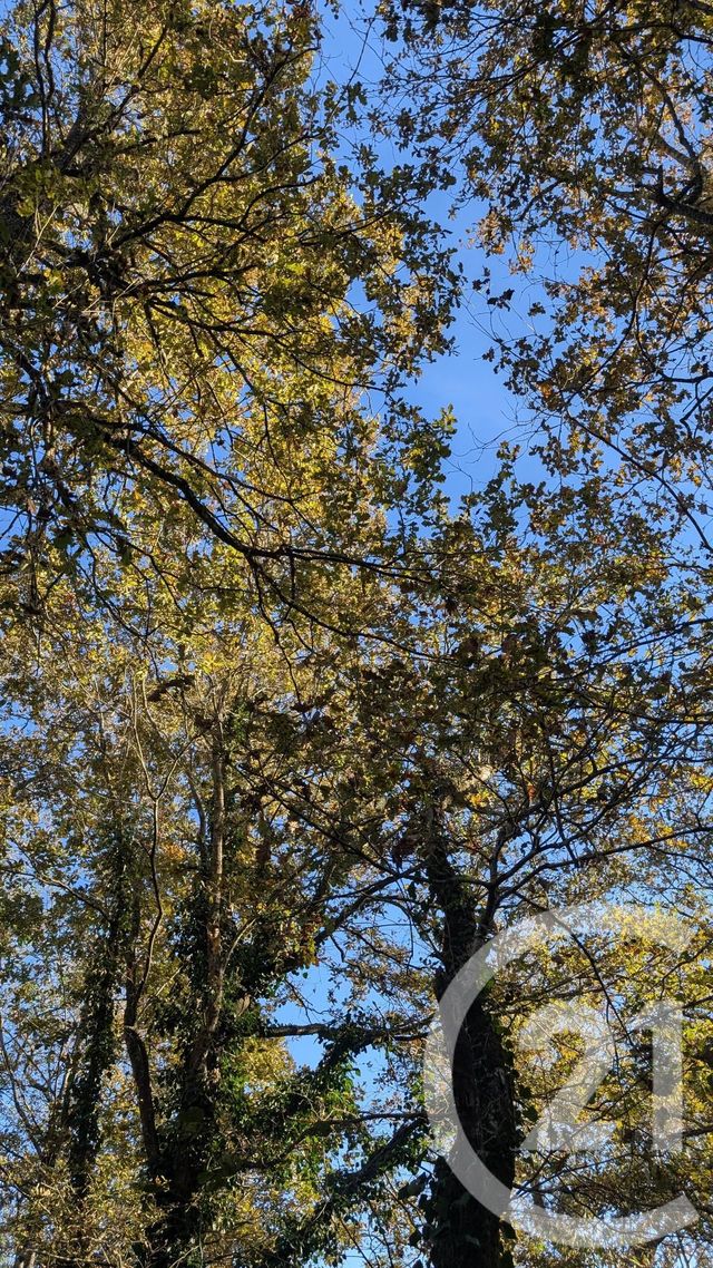 divers à vendre - 32150.0 m2 - HONTANX - 40 - AQUITAINE - Century 21 Mi-Adour