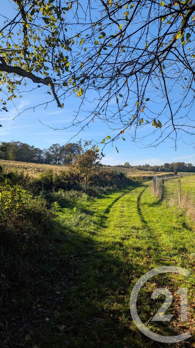 divers à vendre - 32150.0 m2 - HONTANX - 40 - AQUITAINE - Century 21 Mi-Adour