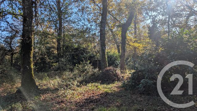 divers à vendre - 32150.0 m2 - HONTANX - 40 - AQUITAINE - Century 21 Mi-Adour