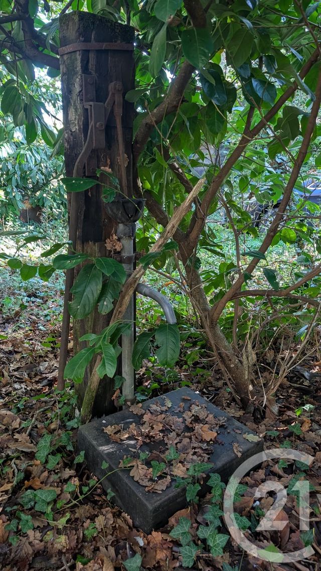 divers à vendre - 32150.0 m2 - HONTANX - 40 - AQUITAINE - Century 21 Mi-Adour