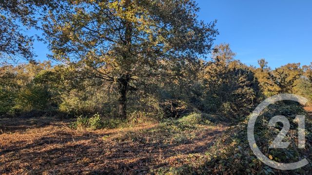 divers à vendre - 32150.0 m2 - HONTANX - 40 - AQUITAINE - Century 21 Mi-Adour