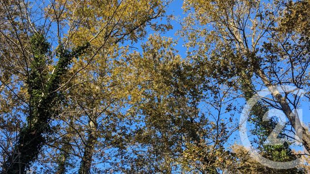 divers à vendre - 32150.0 m2 - HONTANX - 40 - AQUITAINE - Century 21 Mi-Adour