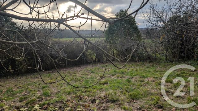 maison à vendre - 7 pièces - 122.0 m2 - ST SEVER - 40 - AQUITAINE - Century 21 Mi-Adour