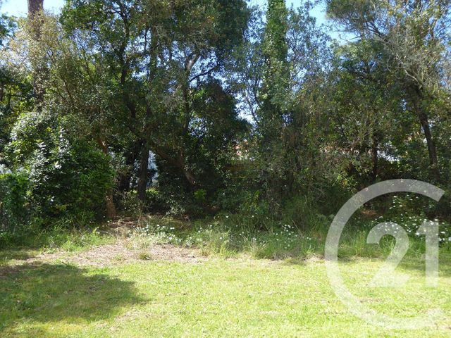 maison à louer - 4 pièces - 98.0 m2 - LABENNE - 40 - AQUITAINE - Century 21 Mi-Adour